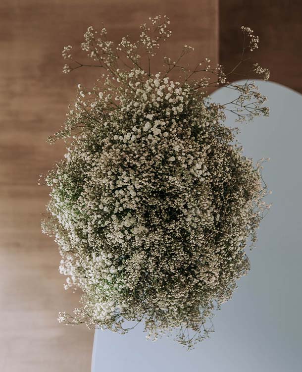 Blog Biophilic foto2 mob 2990