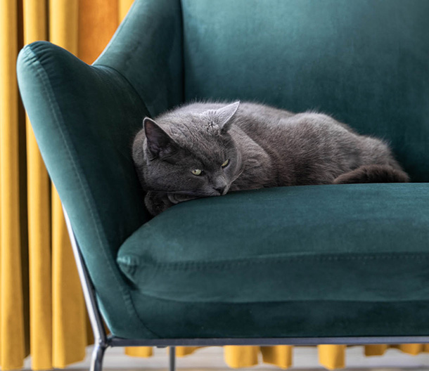 Fauteuils relaxmoment mobile - 2009