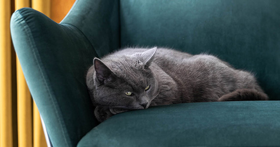 De 4 perfecte fauteuils voor jouw relaxmoment