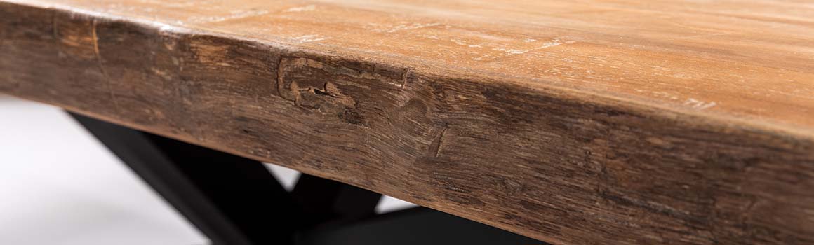 boomstamtafel