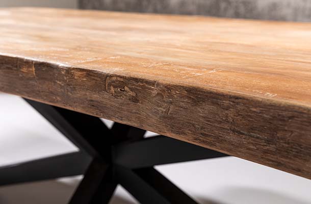 boomstamtafel