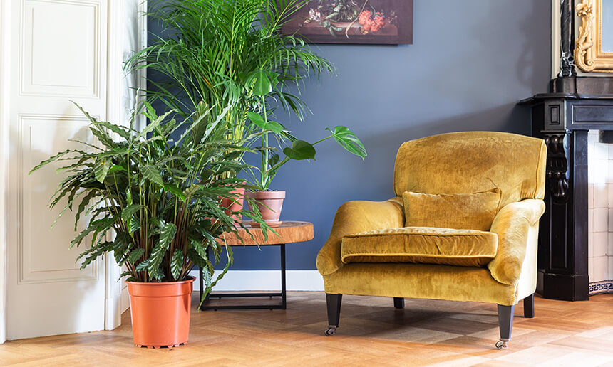 1000_Oorfauteuil_1