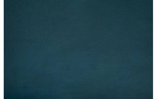 Goossens eetkamerstoel chaplin blauw leer - 8190170-09
