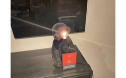 Goossens lamp brio heerlen polyresin - 0100740264_2024-06-25-15