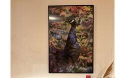 Goossens schilderij 148x98 cm proud peacock peer blauw plexiglas - 0100823354_2025-07-14-09