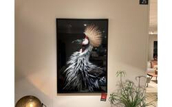 Goossens schilderij dalis zevenaar hoogglans plexiglas en dibond - 0100836442_2025-09-29-09