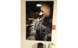 Goossens schilderij dalis waalwijk hoogglans plexiglas en dibond - 0100836444_2025-09-29-09