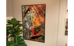Goossens schilderij birds of paradise zevenaar groen dibond - 0100836450_2025-09-29-09