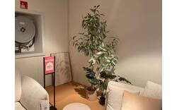 Kave home woon accessoires olive tree peer groen kunststof - 0100873824_2026-07-29-15