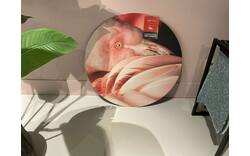 Goossens schilderij bright wings heerlen roze metaal - 0100900621_2026-07-01-14