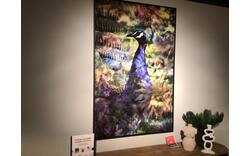 Goossens schilderij proud peacock baarle nassau blauw plexiglas - 0100910194_2026-07-28-17