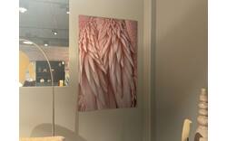 Goossens schilderij pink feather rotterdam roze dibond - 0100911225_2026-08-03-09