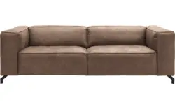 Microleer, lever