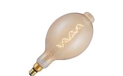 Goossens lichtbron lichtbron vaks - 8195564-01