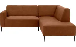 Microleer, cognac