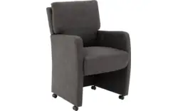 Microleer, antraciet