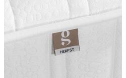Goossens matras goossens basic matrastijk - 8243306-goossens-goossens-basic-mattress-90-x-200-cm-01