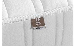 Goossens matras goossens premium matrastijk - 8243307-goossens-goossens-premium-mattress-90-x-200-cm-01