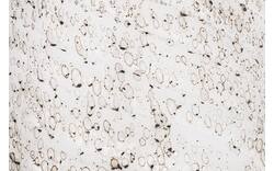 Goossens vaas jorgen wit glas - 8243347-goossens-jorgen-woon-accessoires-glas-01